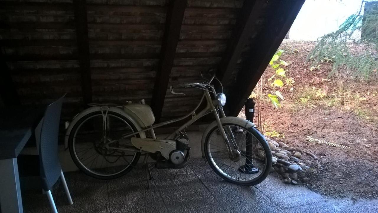 Spacieux Et Cosy F2 De 65m2 Proche Strasbourg Appartement *